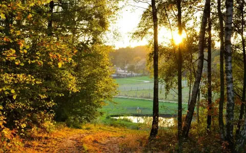 Jesienne słońce przebija się przez drzewa, tworząc idealne miejsce na długi weekend listopadowy. Ścieżka prowadzi do malowniczego krajobrazu z domkiem w oddali.