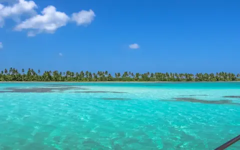 Turkusowe wody i palmy tworzą rajski widok. Czy to Puerto Plata czy Punta Cana? Trudno wybrać!