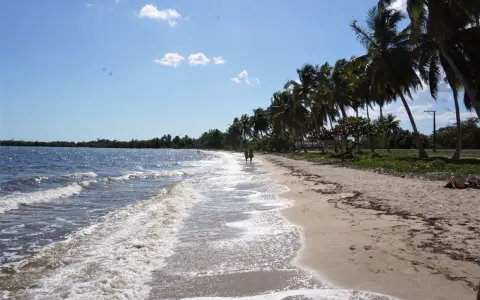 Piękna plaża, palmy, turkusowa woda. Idealne miejsce, by zapytać: Kuba kiedy jechać?