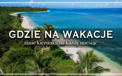 Rajska plaża z palmami i turkusową wodą. Idealne miejsce, by zastanowić się, gdzie na wakacje za granicę.